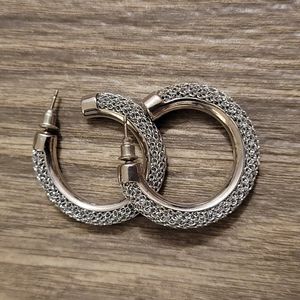 Elegant Silver Hoop Earrings